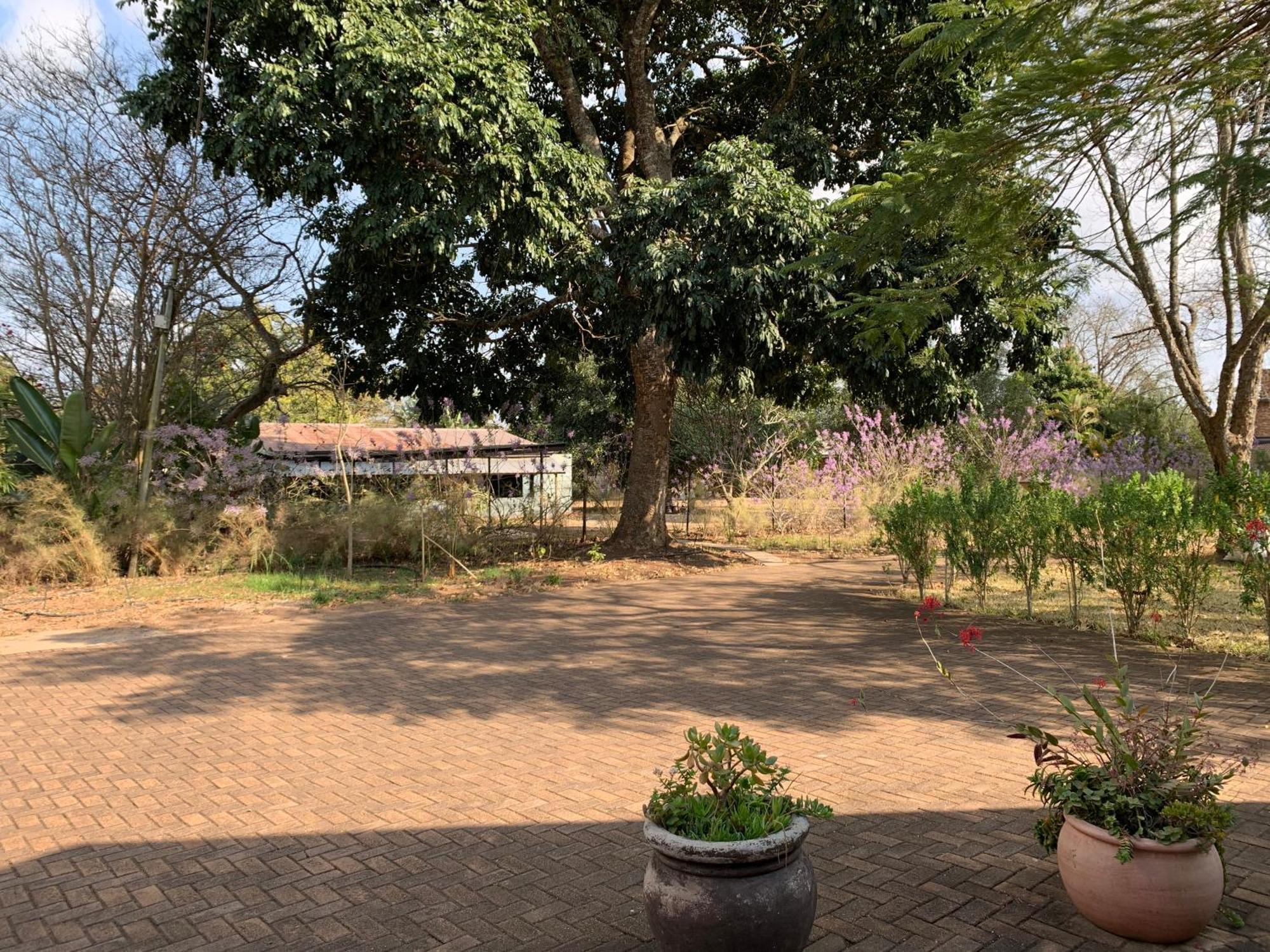 Ilanda Guest House White River Exterior photo